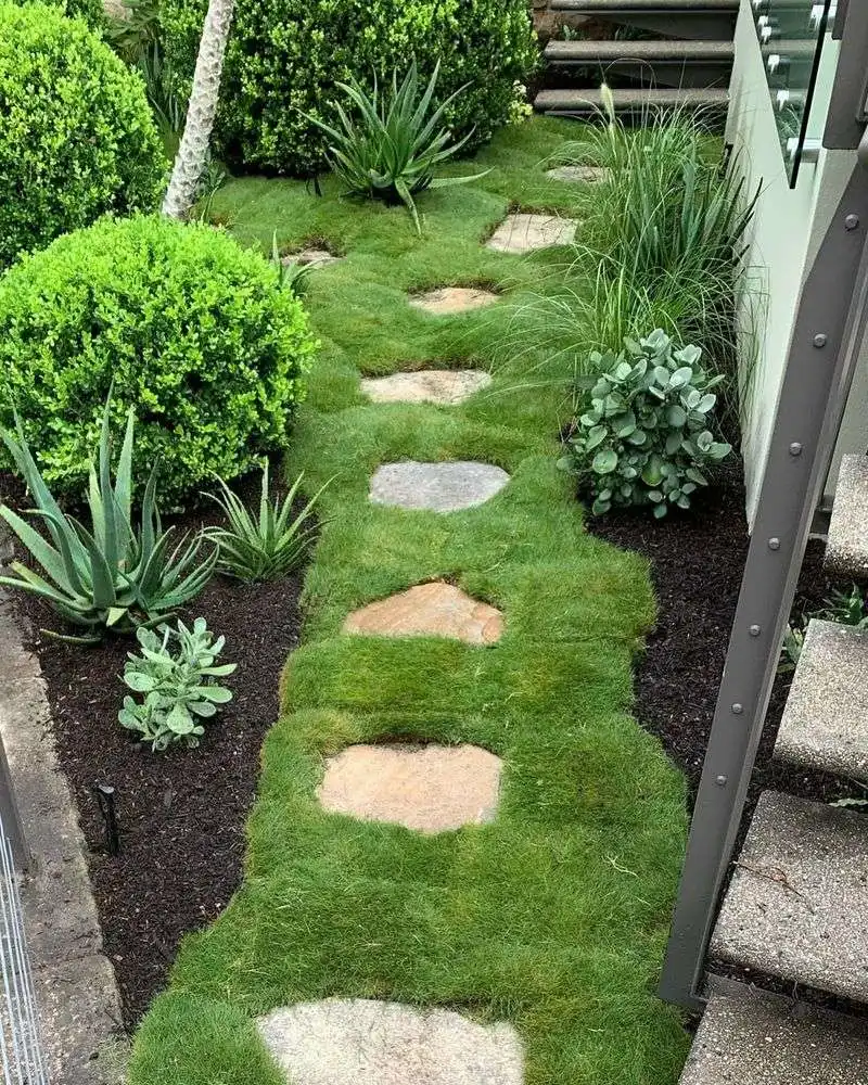 Low-Maintenance Lawns