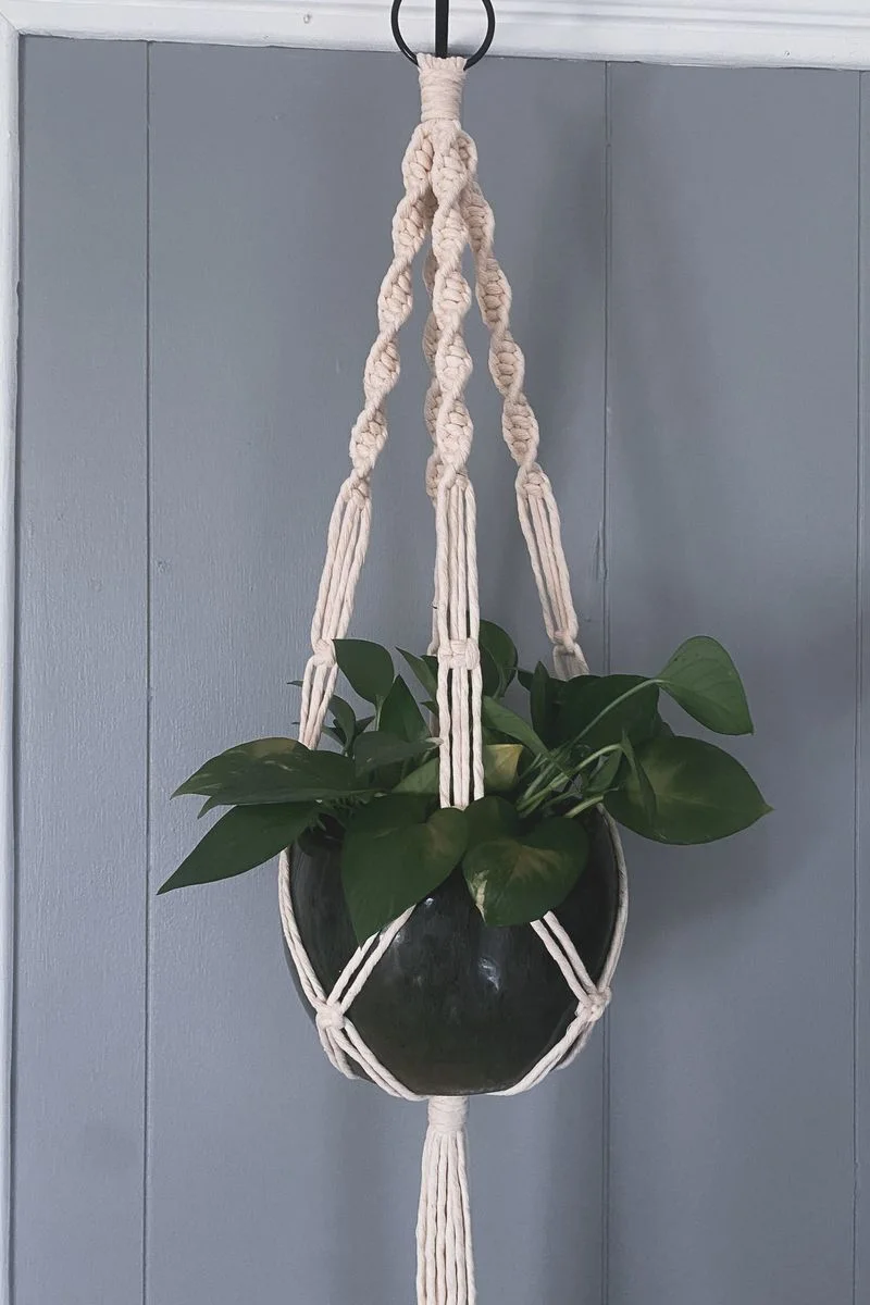 Macramé Plant Hanger