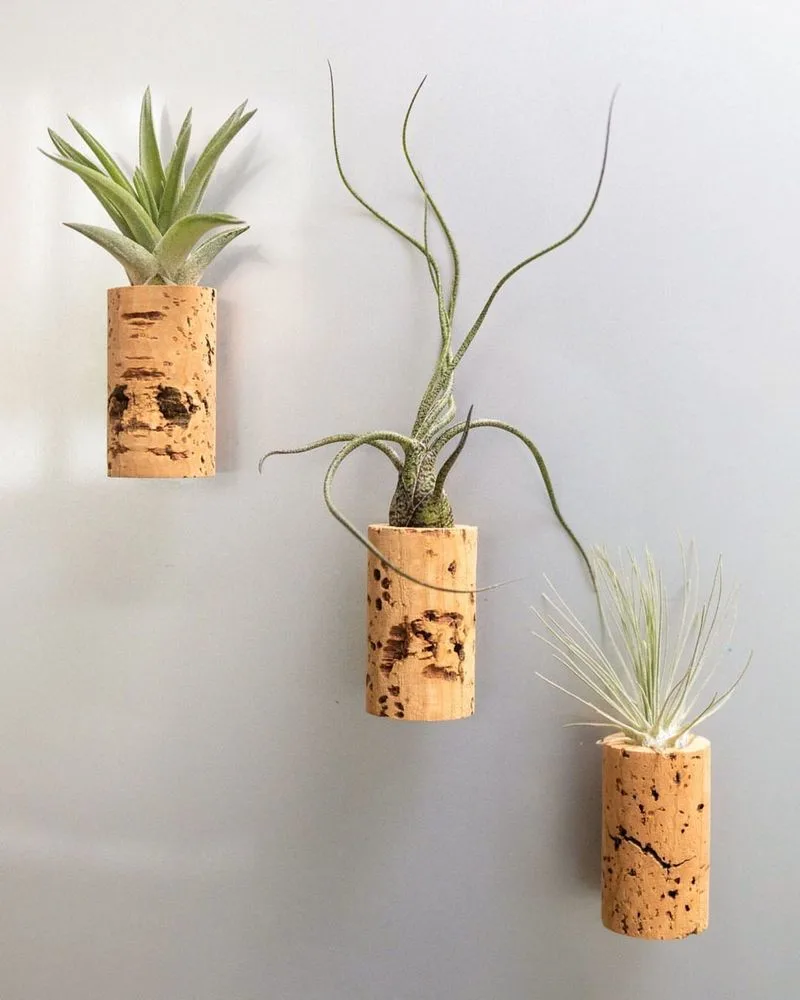 Magnetic Plant Holders