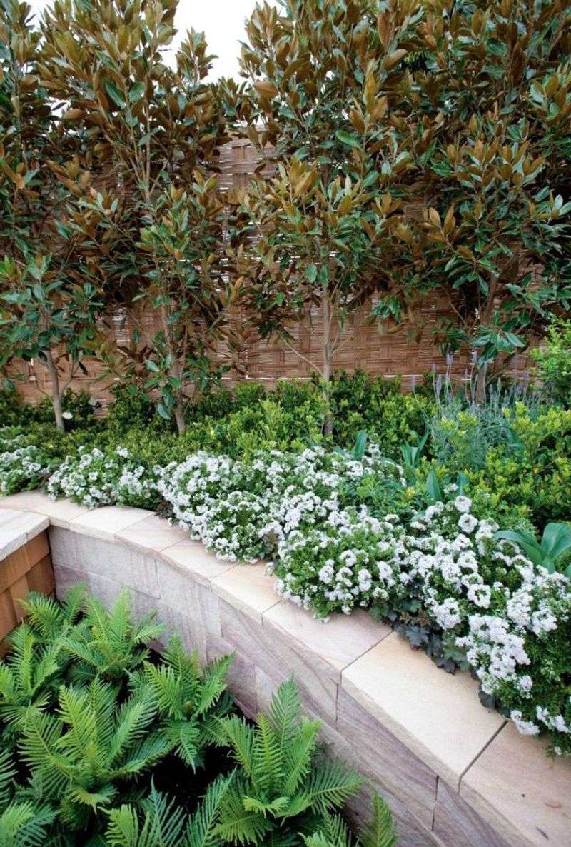 Magnolia Walls