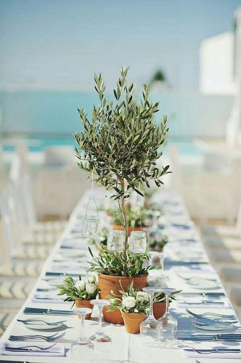 Mediterranean Escape