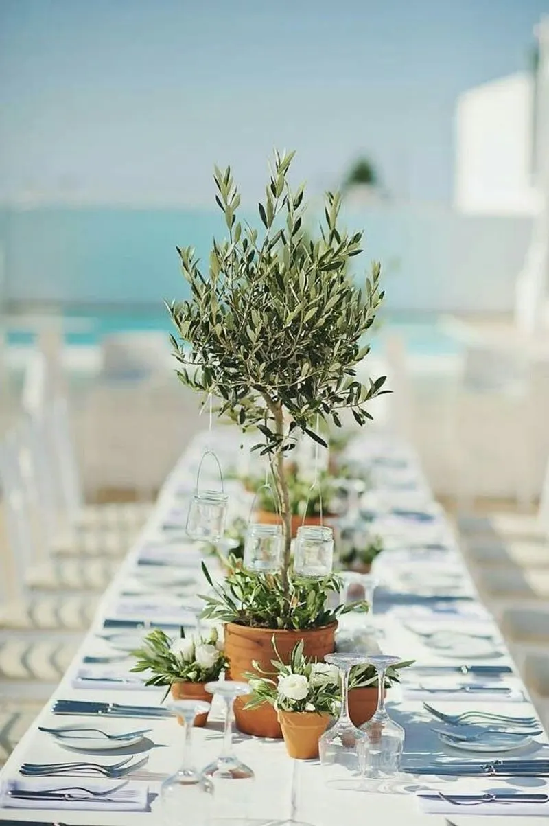 Mediterranean Escape