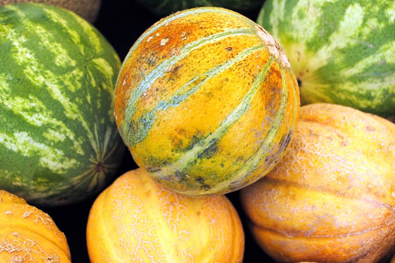 Melons