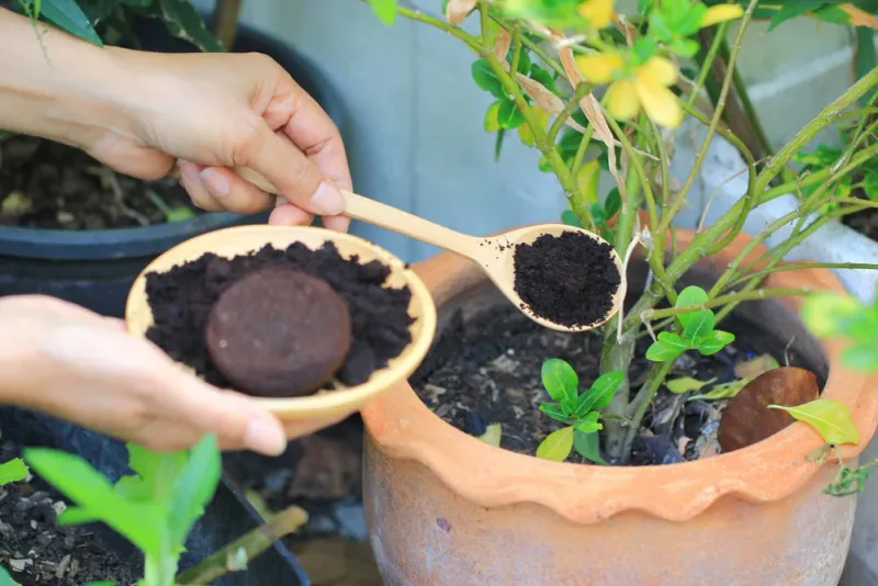 Microbial Activity Enhancement