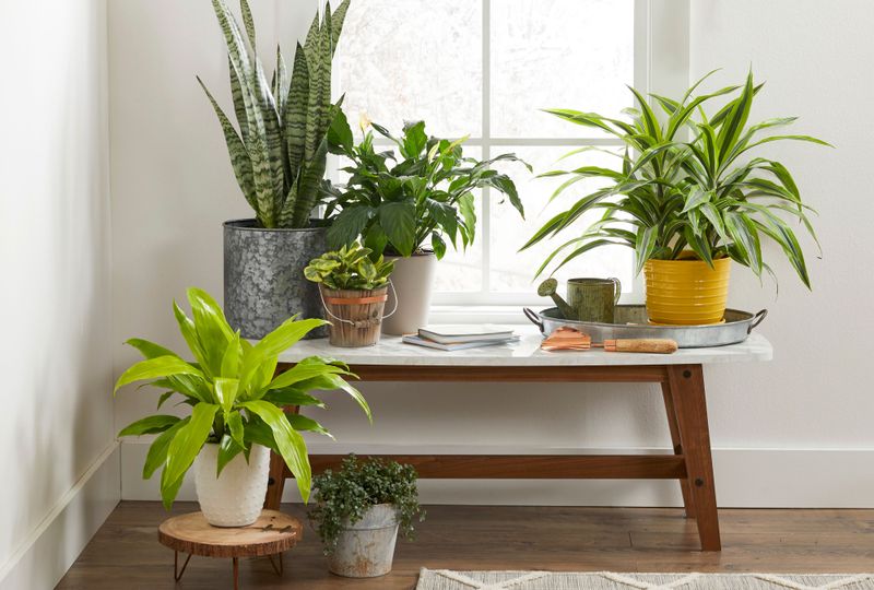 Mindful Living