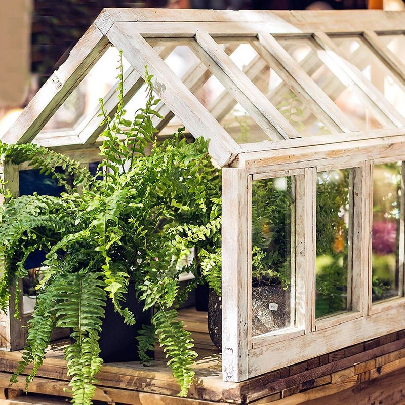 Mini Greenhouses
