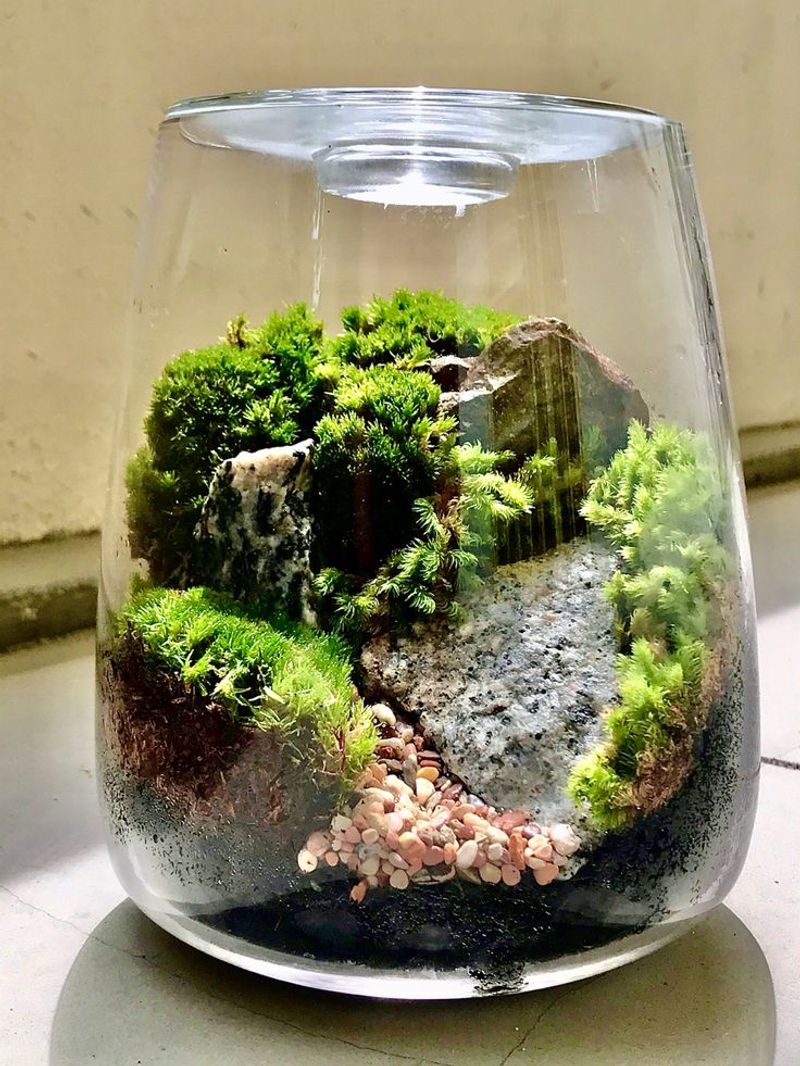 Miniature Forest