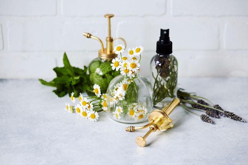 Mint Cooling Facial Mist