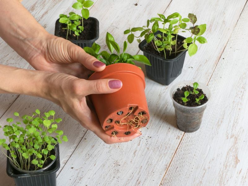 Mix and Match Pot Sizes