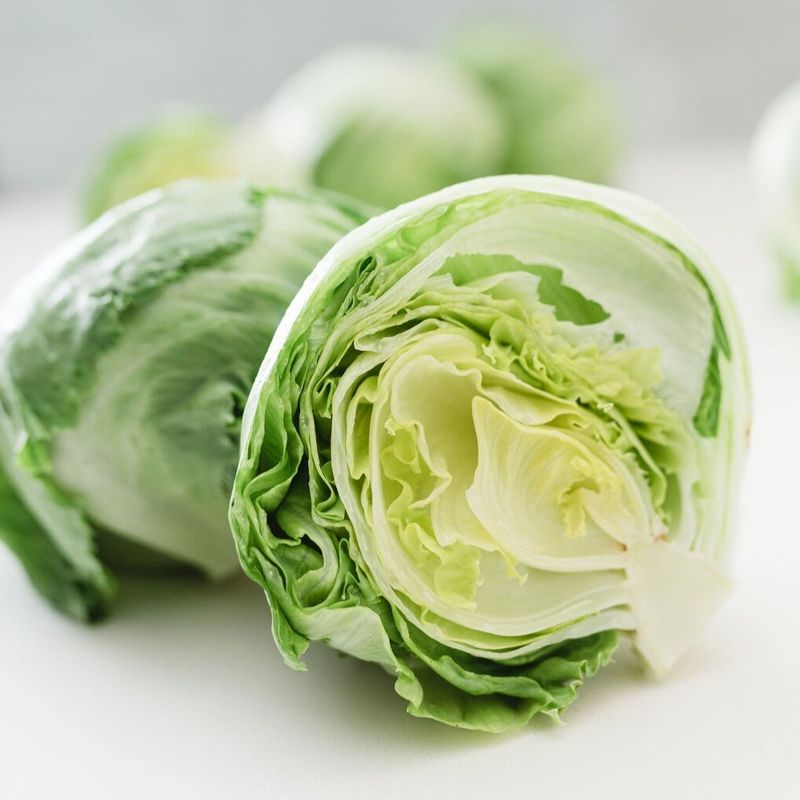 Iceberg Lettuce