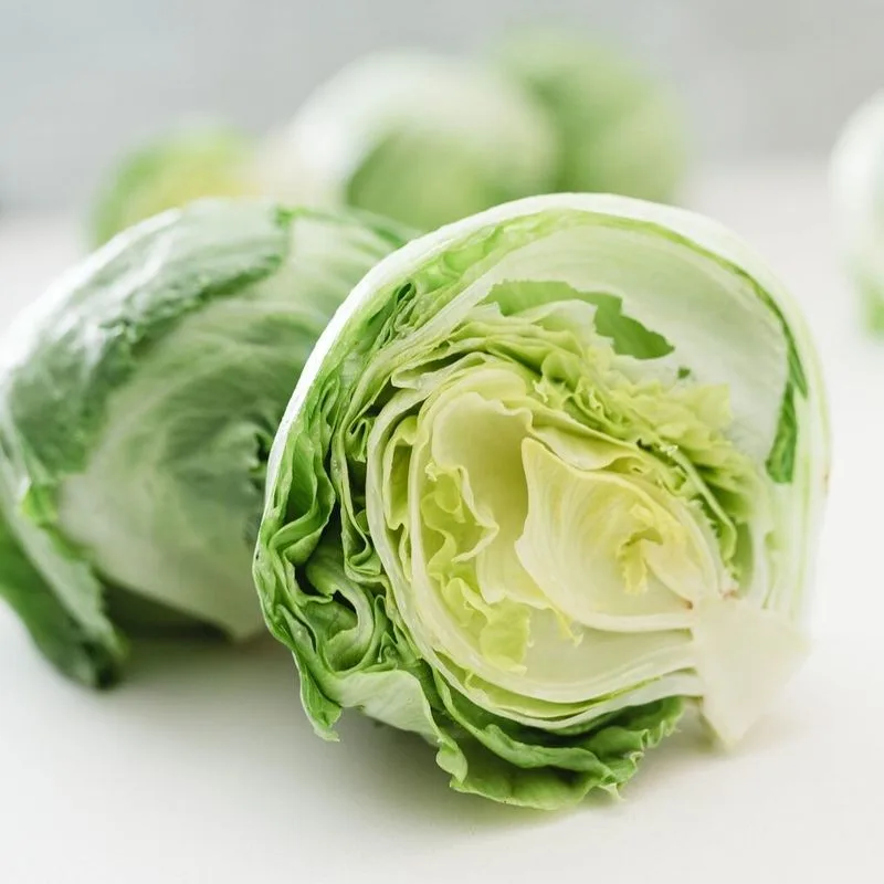 Iceberg Lettuce