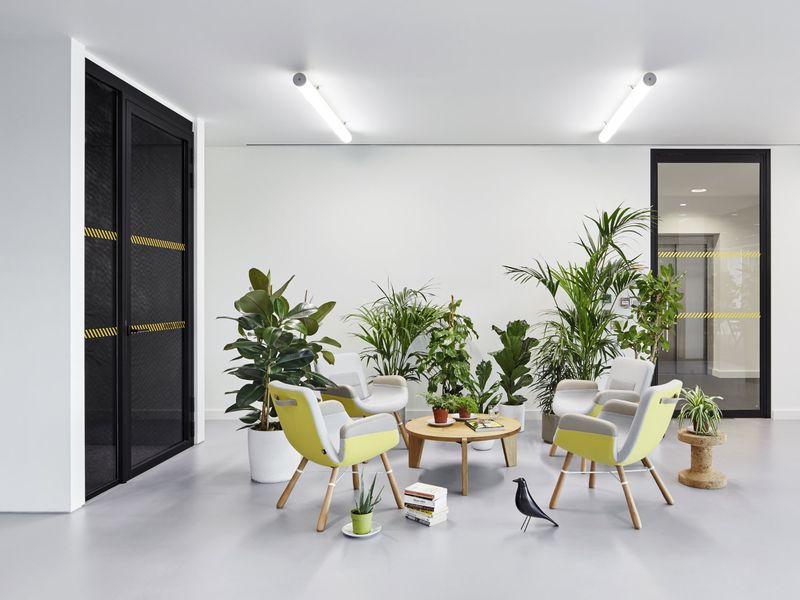 Modern Office Greenery