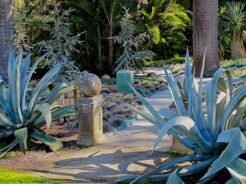 Monochrome Gardens