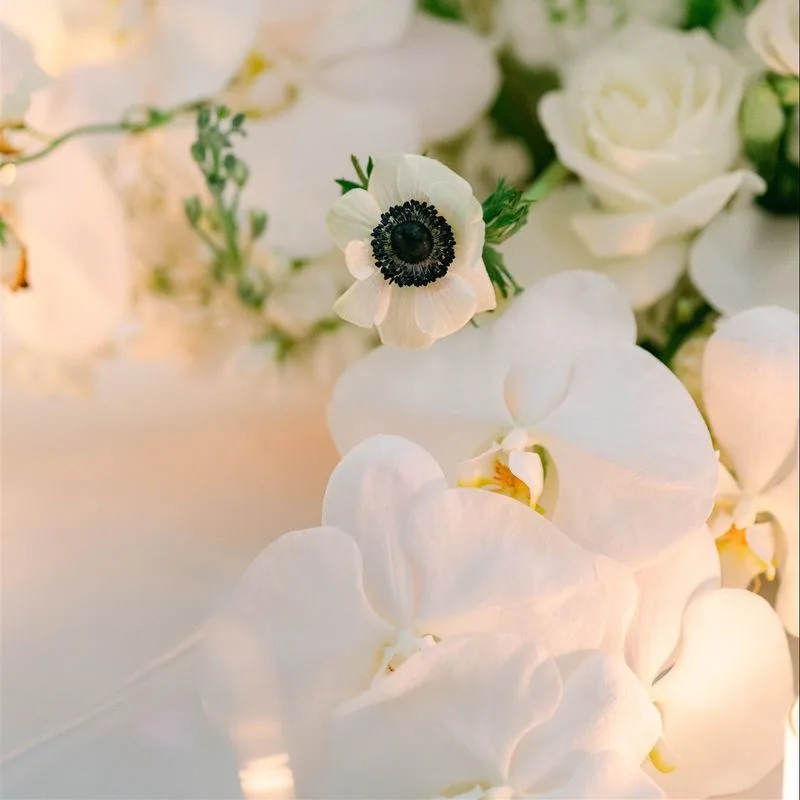 Monochrome Palette