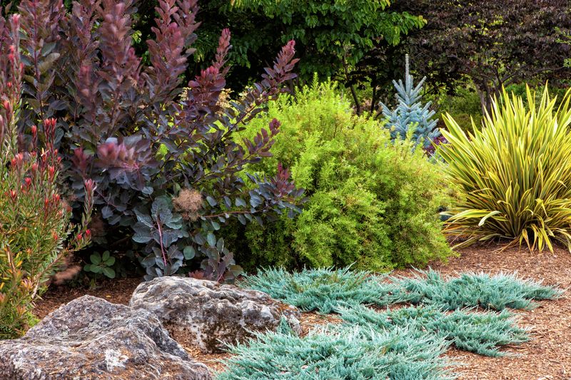 Monotony in Plant Choices
