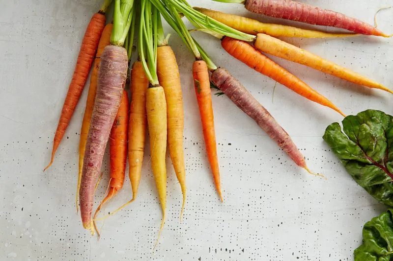 Moonshine Carrot