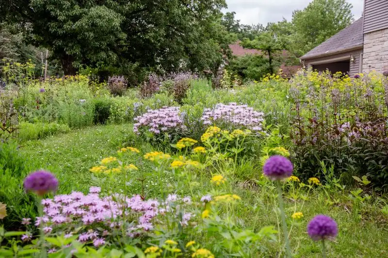 Native Plant Meadows
