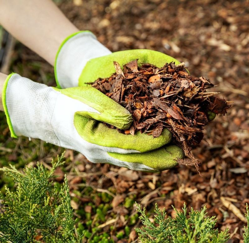 Mulching Magic