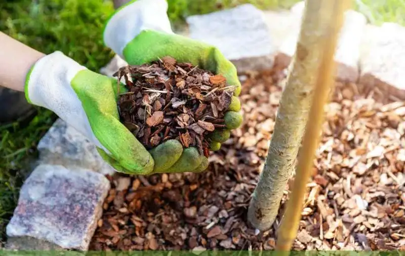Mulching Techniques
