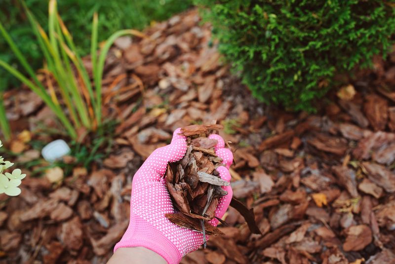 Mulching to Retain Moisture