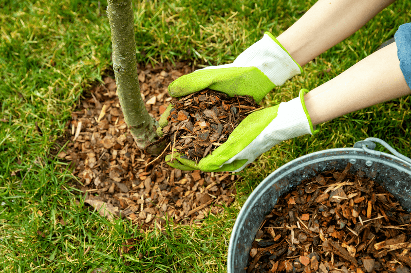 Mulching