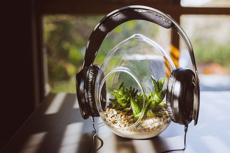 Music and Sound