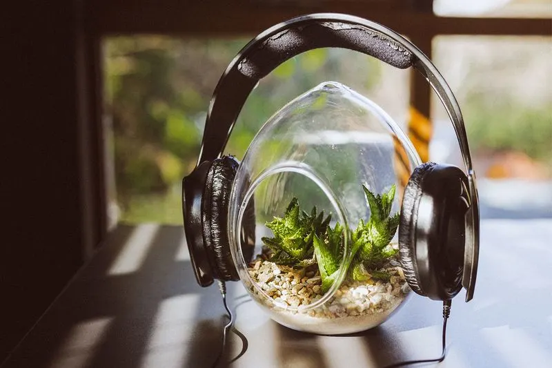Music and Sound