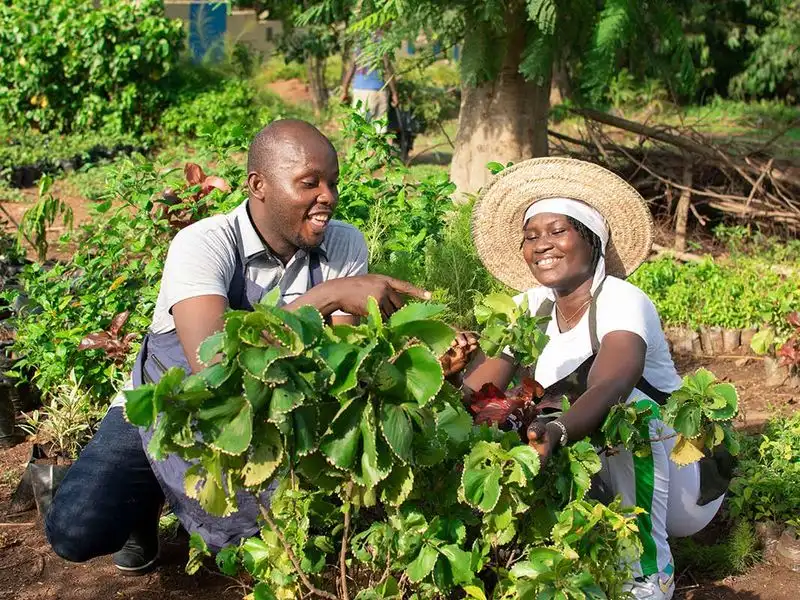 Myth 1: Talking to Plants Helps Them Grow