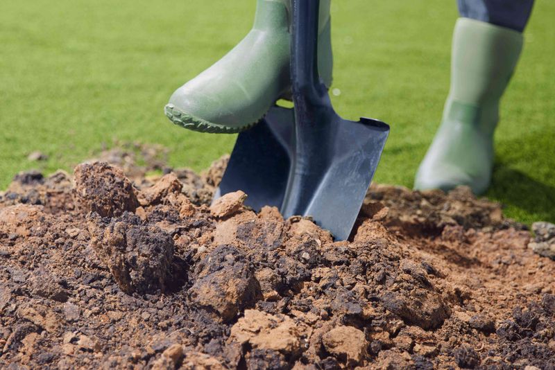 Myth 11: Clay Soil is Impossible to Work With