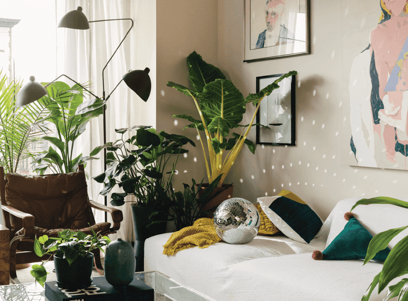 Myth 13: Music Stimulates Plant Growth