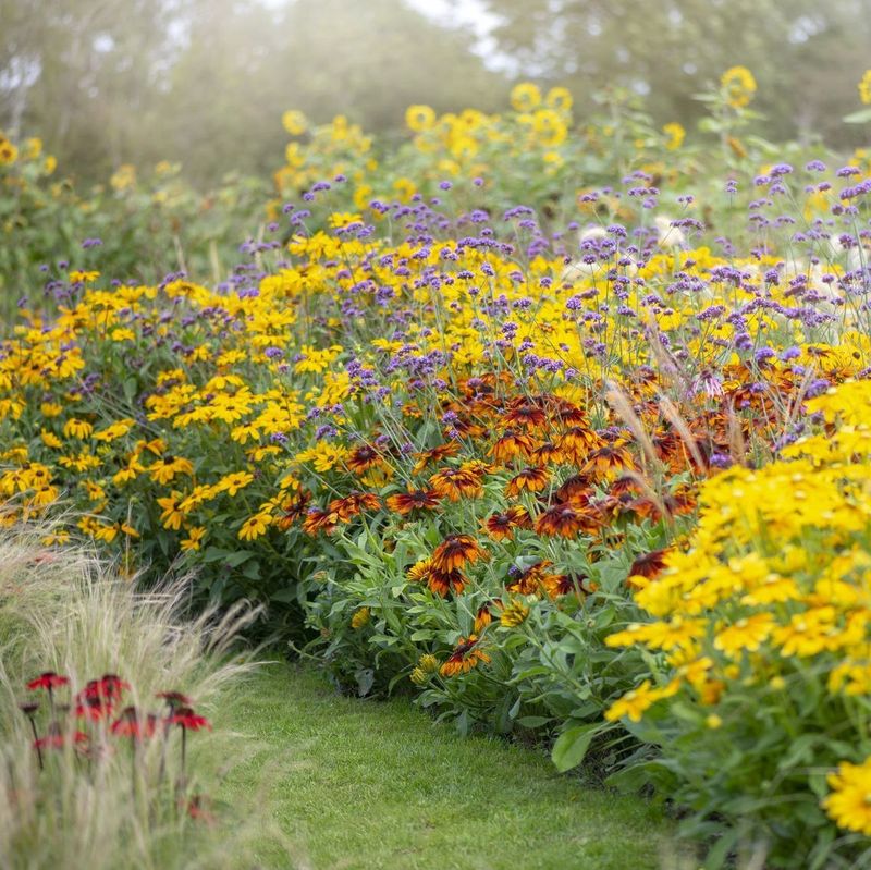 Myth 14: All Plants Grow Year-Round