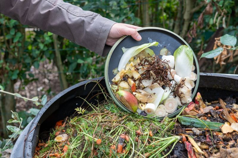Myth 2: Compost Piles Must Smell Bad