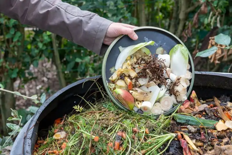 Myth 2: Compost Piles Must Smell Bad