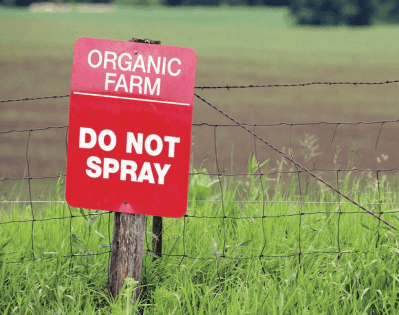 Myth 4: Organic Pesticides Are Completely Safe