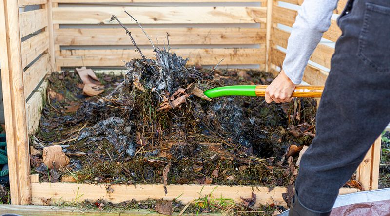 Myth 5: Compost Tea is a Fertilizer
