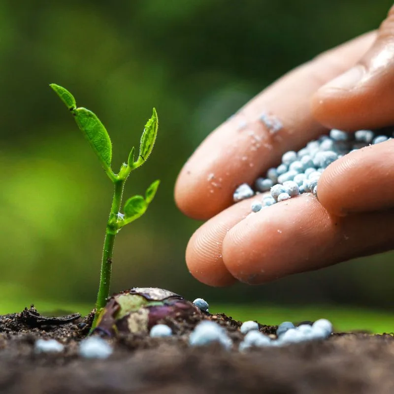 Myth 6: More Fertilizer Equals Better Growth
