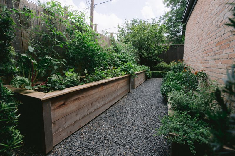 Myth 6: You Can't Grow Food in the Shade