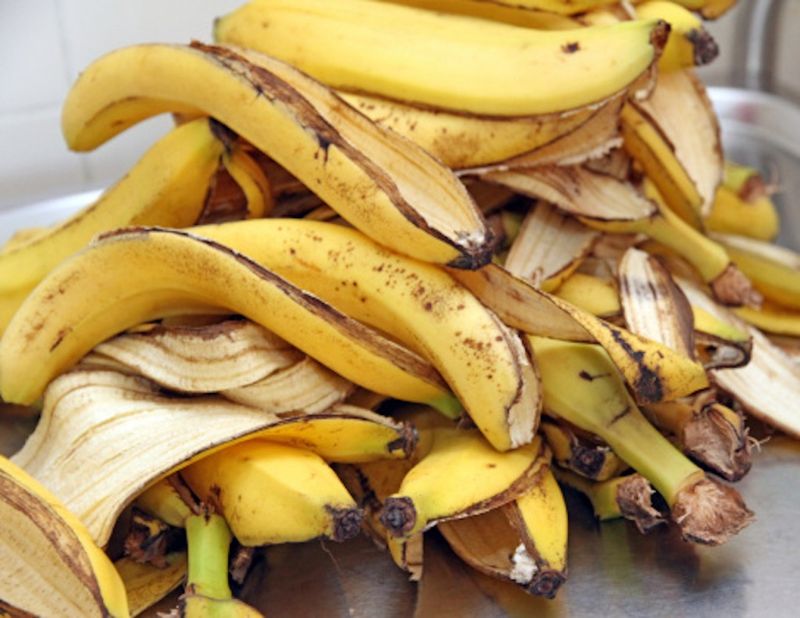 Myth 7: Banana Peels as Fertilizer