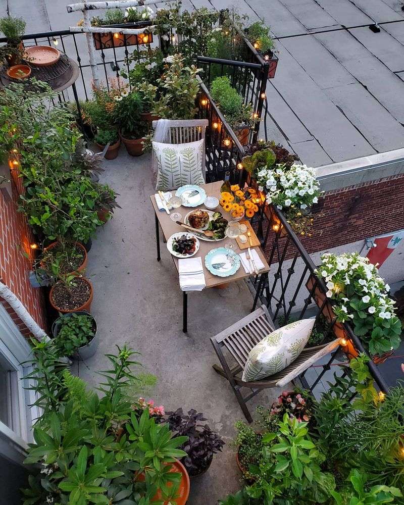 Nasturtiums