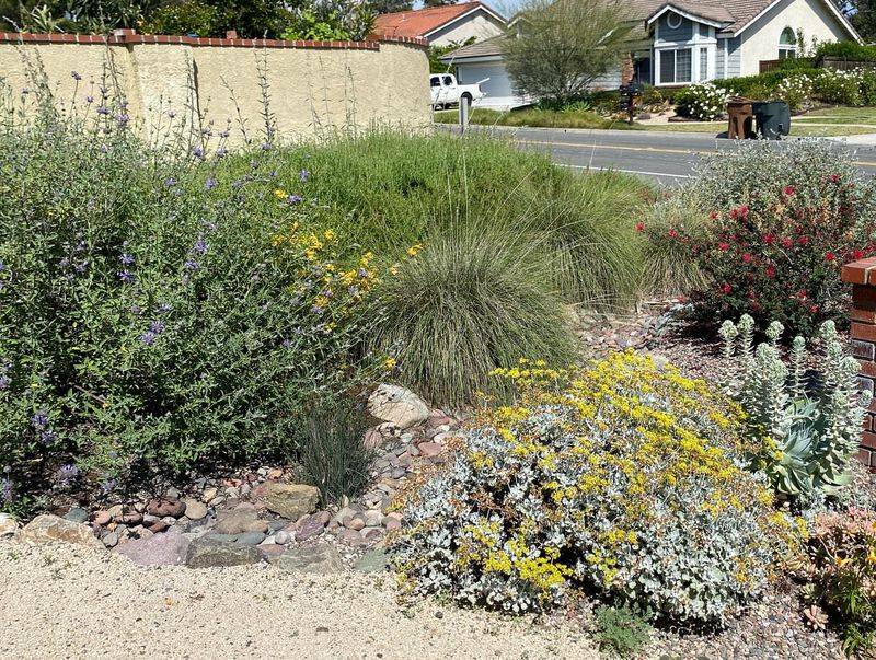 Native Plant Gardens