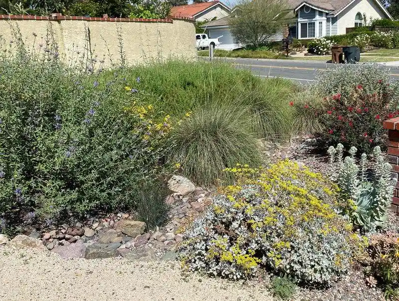 Native Plant Gardens