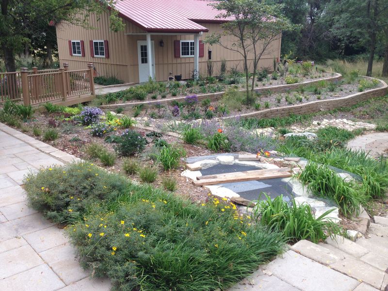 Native Plant Selection