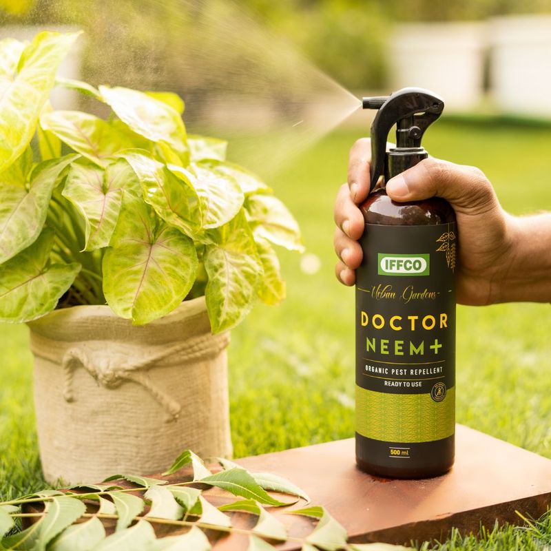Neem Oil Pest Control