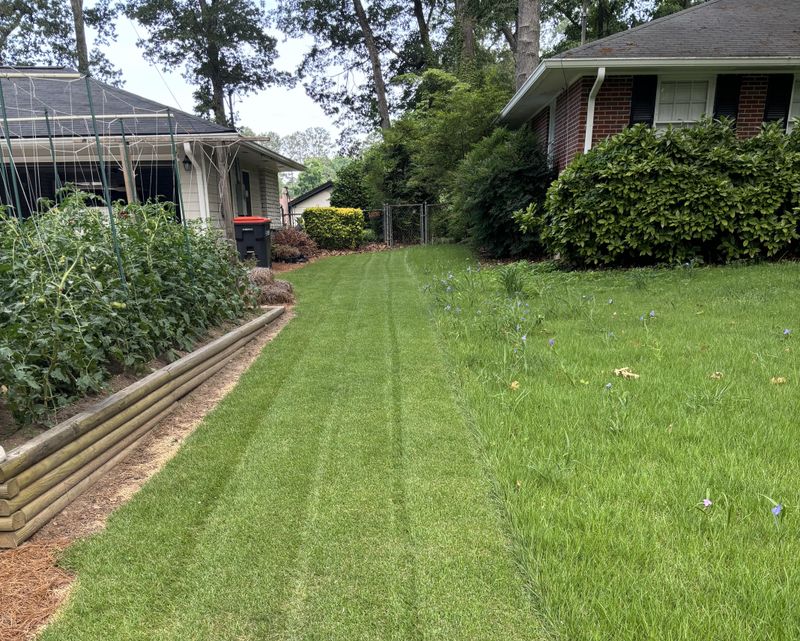 A Healthy, Well-Maintained Lawn
