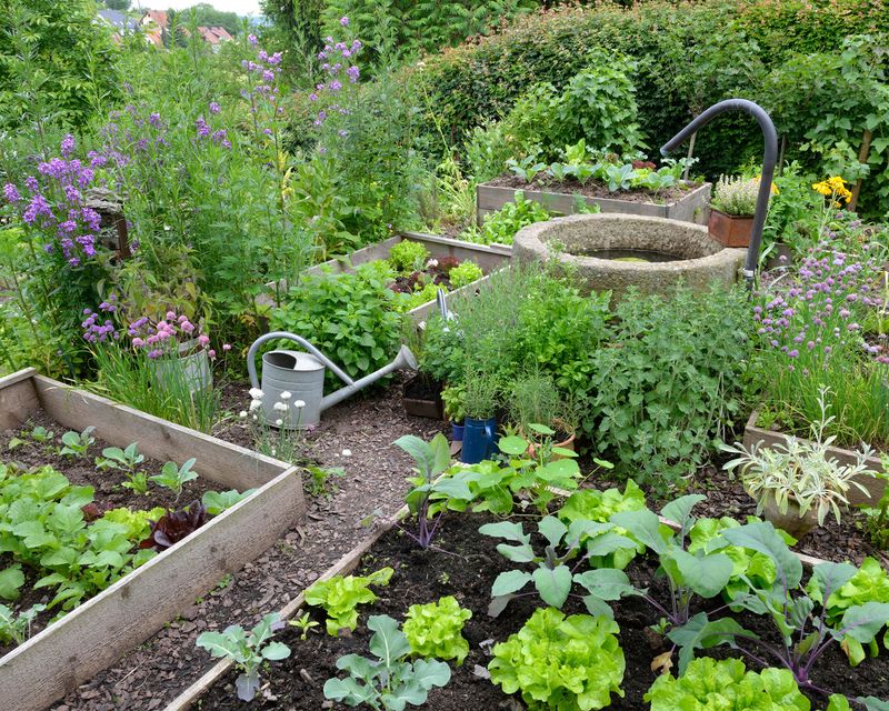 Neglecting Crop Rotation