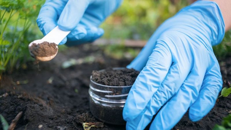 Neglecting Fertilization