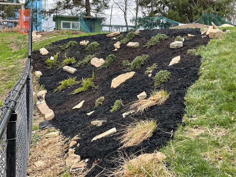 Neglecting Mulch