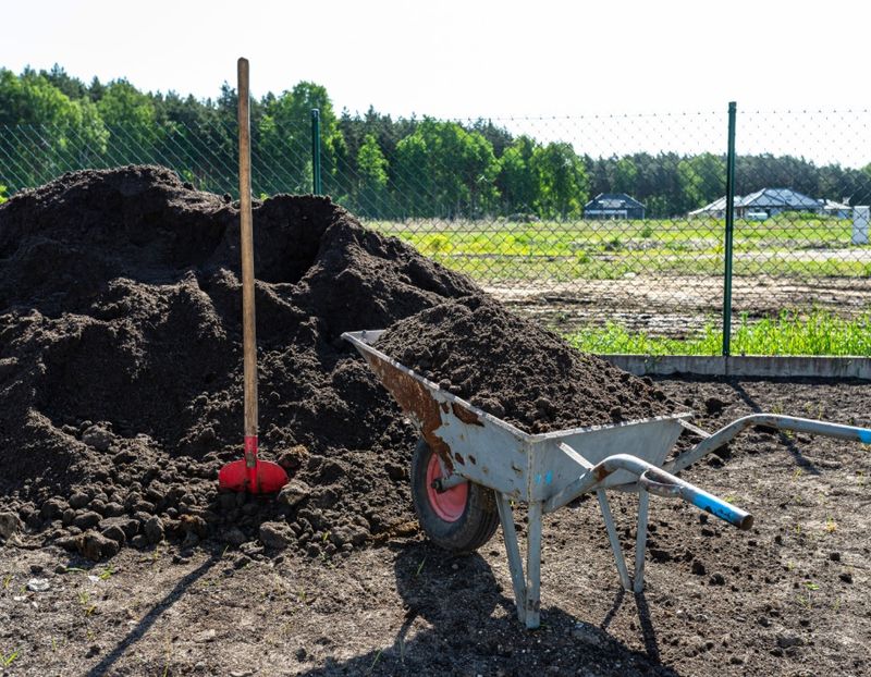 Neglecting Mulching