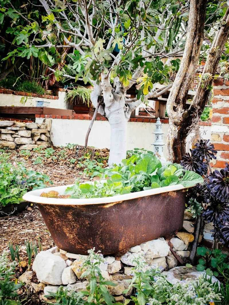Neglecting Organic Matter