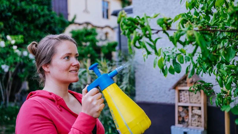 Neglecting Pest Control